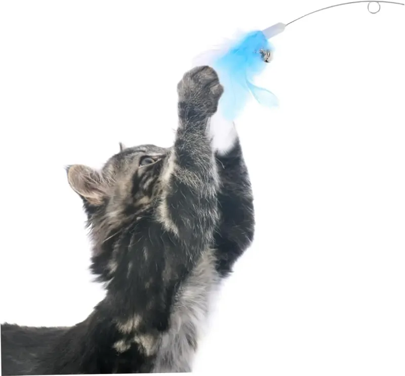 Giocattolo indossabile per gatti, in silicone, per stuzzicare i gatti, collare per gatti, giocattolo interattivo per gatti, per attività di arricchimento degli animali domestici_voghion.com