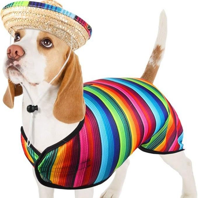 Mexicaanse feest kleurrijke gestreepte kwast huisdier cape mantel outfit strohoed set_voghion.com