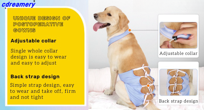 Kirurgiskt set för hund, återhämtningsset för husdjur, kirurgiskt set för hundsterilisering, bandageform, enkla postoperativa kläder, för steriliserade hudåkommor_voghion.com