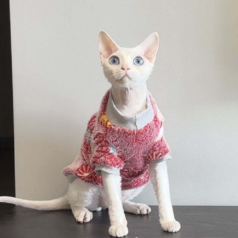 Devins Sphynx Pet Hairless Cat Glow-in-the-Dark Flannel Two-Legged Clothes Bichon Teddy Soft Comfortable Clothing_voghion.com