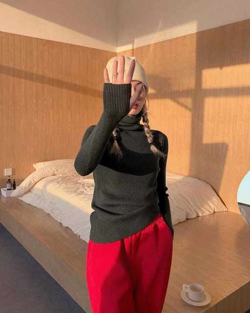 Dame haugevis av krage Turtleneck gensere Høst Vinter Slank Pullover Dame Basic Overdeler Uformell Myk strikket Genser Myk Varm Genser_voghion.com