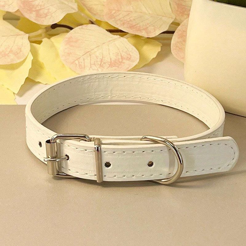 Collare piatto in pelle per cani e gatti, semplice, con campanellino, multicolore, anti-soffocamento_voghion.com