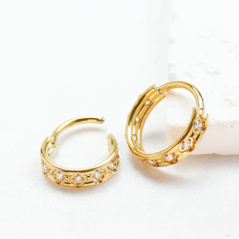 F136 Titanium Piercing Clicker Helix Nose Ring Cartilage Tragus Zircon Septum 16G Earrings Hinged Segment Body Jewelry for Women_voghion.com