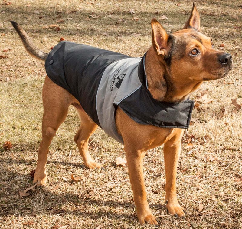 Touchdog Lightening-Shield Waterproof 2-in-1 Convertible Dog Jacket w/ Blackshark technology_voghion.com