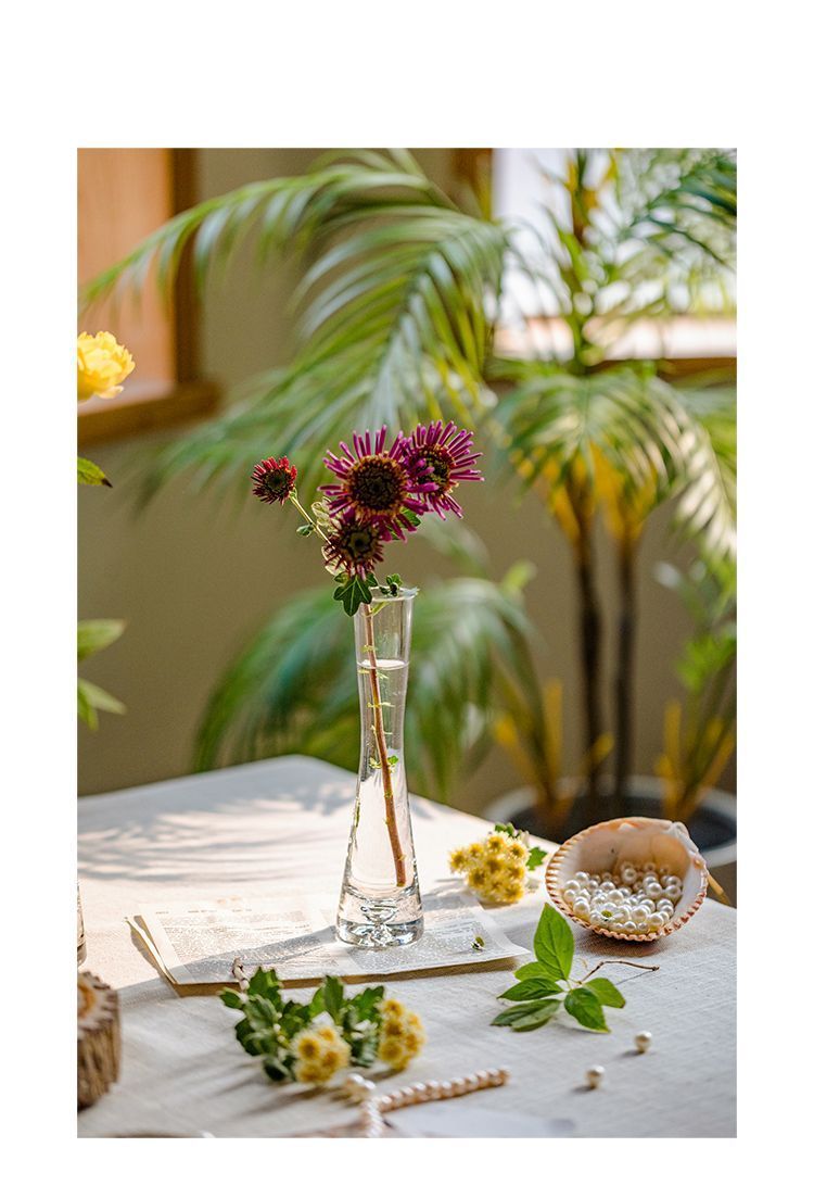 【 46000 People Collected 】 Juhan Nordic Ins High Beauty Arrangement Water Nourishing Small Vase Glass Transparent_voghion.com