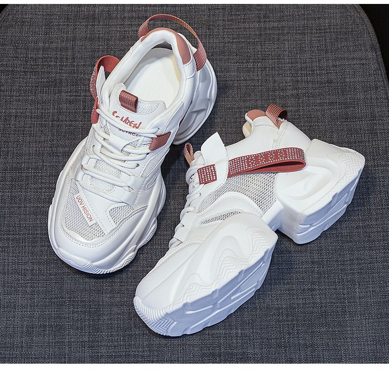 Thick-soled Transparent Mesh And Double-layer Mesh Heightening Dad Shoes Casual Versatile Style Small Women's Shoes_voghion.com