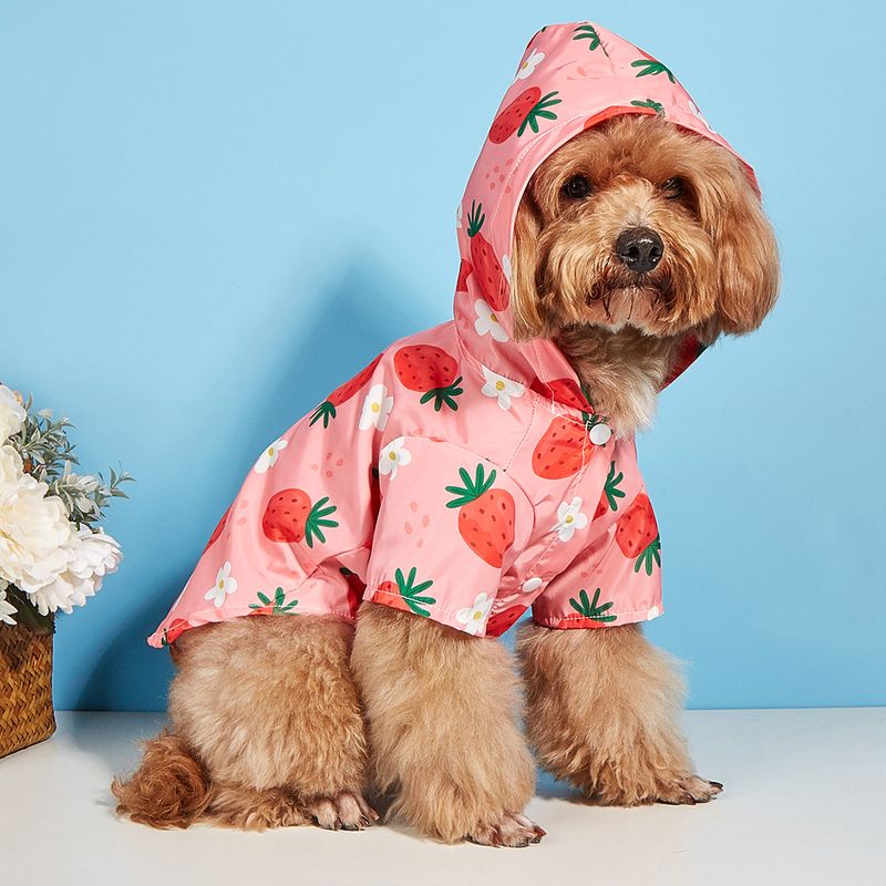 Regenmantel Obst Erdbeere Muster Neue Shop Katze Und Hund Universal Wasserdichte Haustier Kleidung_voghion.com