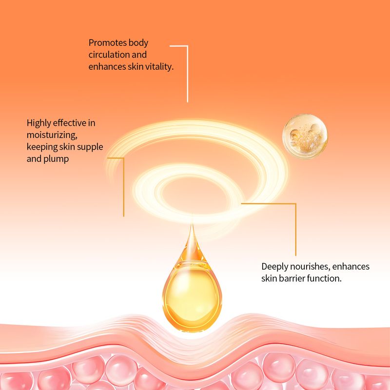 EELHOE Tender Essence Braccia Addome Petto Pelle Idratante Applicare Corpo Massaggio Cura_voghion.com