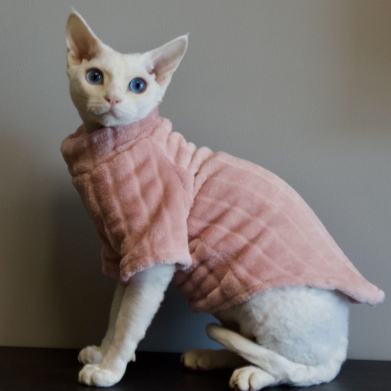 Roupas sem pelos Sphynx Devon Pet Cat Mink Fleece Base Layer Espessada Quente Confortável Resistente a Lambidas Resistente à Sujeira_voghion.com