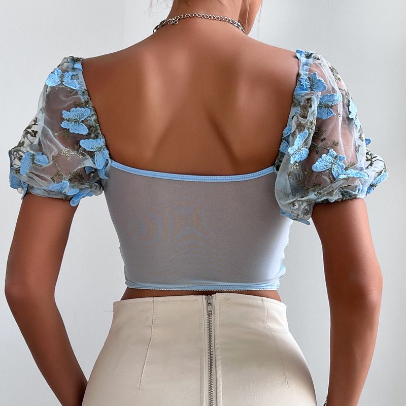 Women's Clothing Spring And Summer Puff Sleeve Hot Girl Steel Ring Lace Transparent Outer Wear High End Tube Top_voghion.com