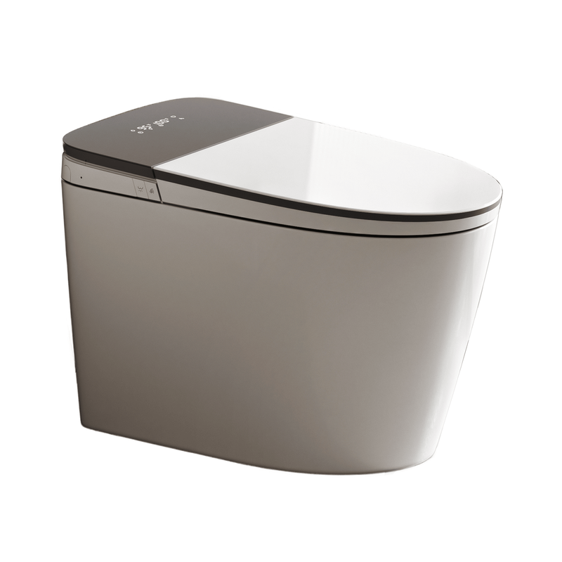 Luxury Tankless Smart Toilet With Bidet Built In, One Piece Bidet Toilet, Instant Warm Water, Heated Seat, Foam Shield, Warm Air Dryer,Sensor To Open/Close/Flush, ADA, USB Blackout Flush, LED_voghion.com