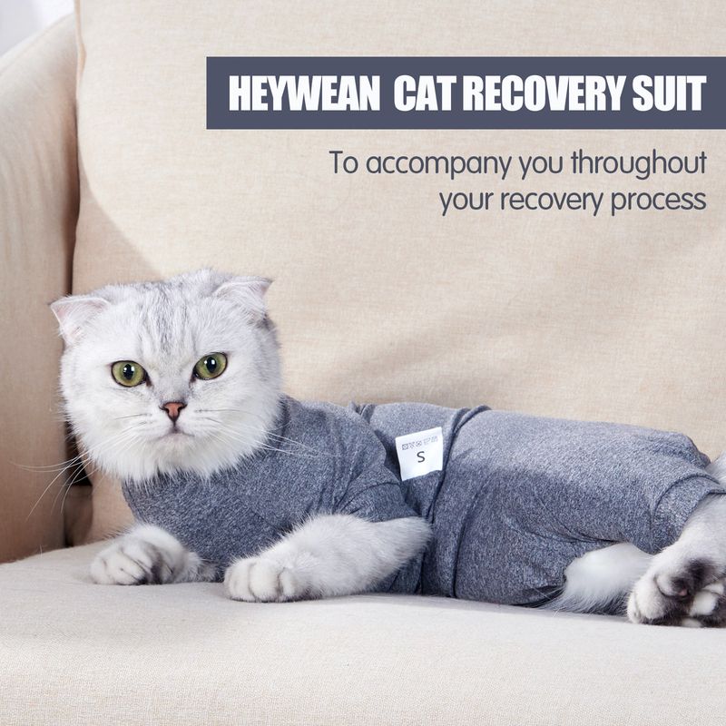 Nouveaux vêtements anti-perte de poils pour animaux de compagnie, combinaison post-opératoire pour chat castré_voghion.com