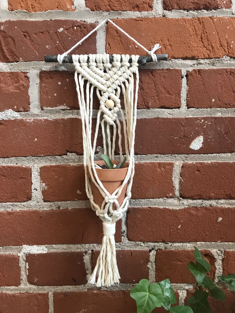 DIY Macrame Air Plant Hanger Kit - The Anika_voghion.com