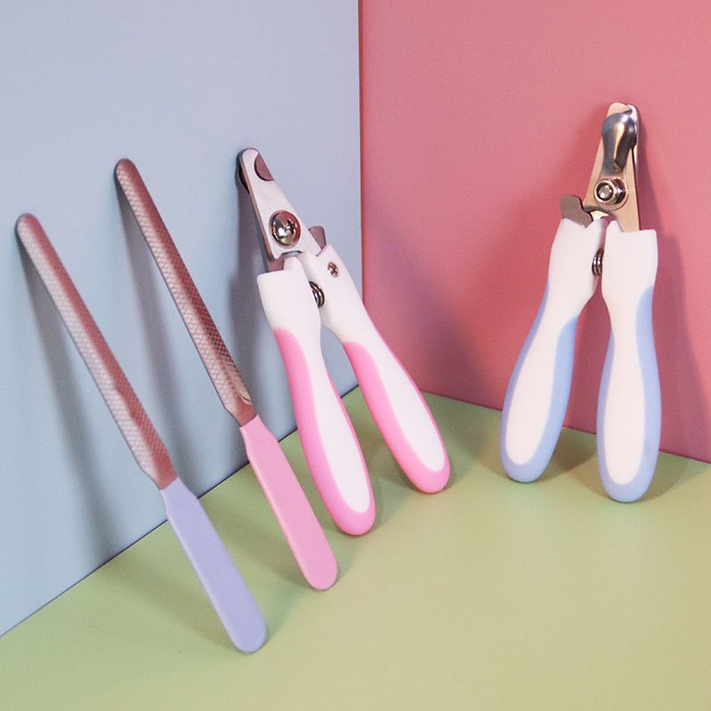 Kit de nettoyage pour petits chats et chiens Teddy, avec lime et coupe-griffes_voghion.com