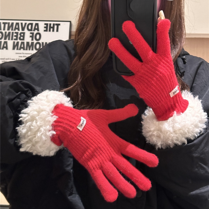 Women's Winter 2025 New Thickened Warm Knitted Finger Gloves Touch Screen Compatible Tide Models_voghion.com