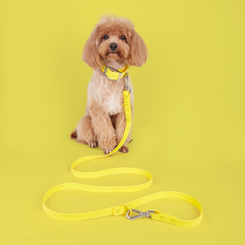 Vanntett PVC-kjæledyrsett for små, mellomstore og store hunder med båndhalsbånd_voghion.com