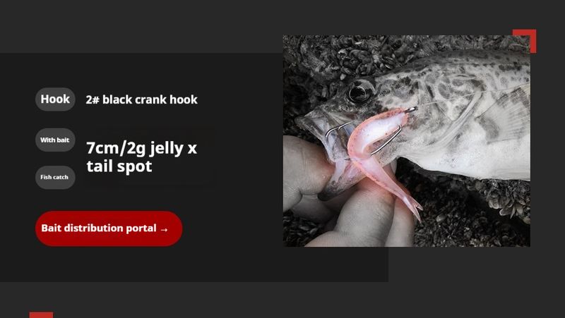 Kurbelköder, dünner Streifen, breiter Bauch, Dezhou-Angelgruppe, Fischköderhaken, Wolfsbarsch, Zackenbarsch, weicher Wurmhaken_voghion.com