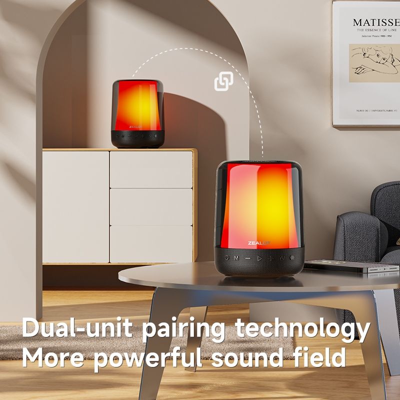 S66M RGB ritmische lichte karaoke draadloze luidspreker, stijl: enkele microfoon (zwart)_voghion.com