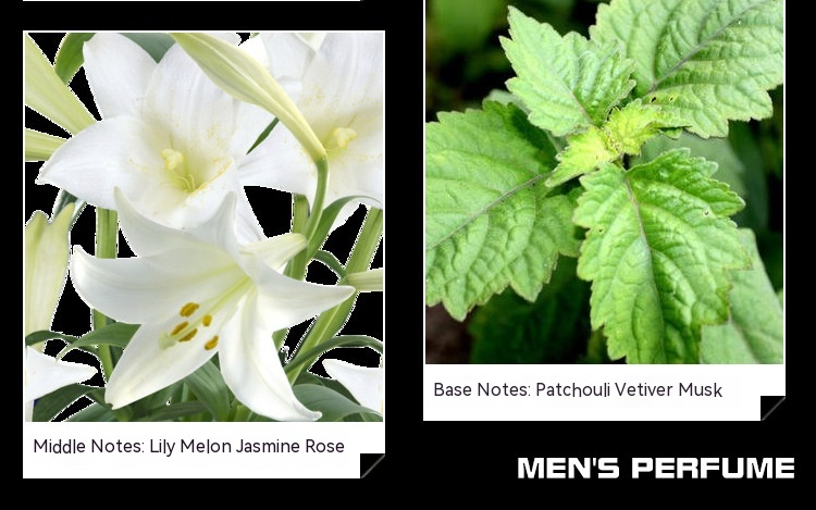 New Perfume Small City Yixiang Royal Iron Box Men's Perfume Ocean Fragrance Lasting Fragrance Cross Border Popular Women's Perfume_voghion.com