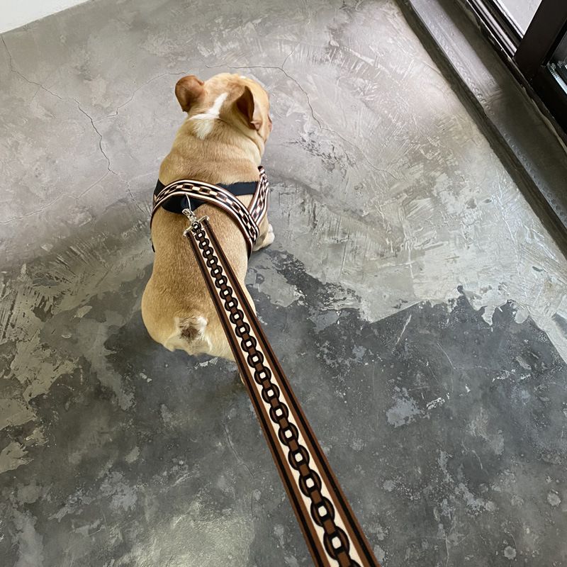 Pet Explosion-Proof Small Medium Large Collar Leash Big Dog Walking Chain_voghion.com