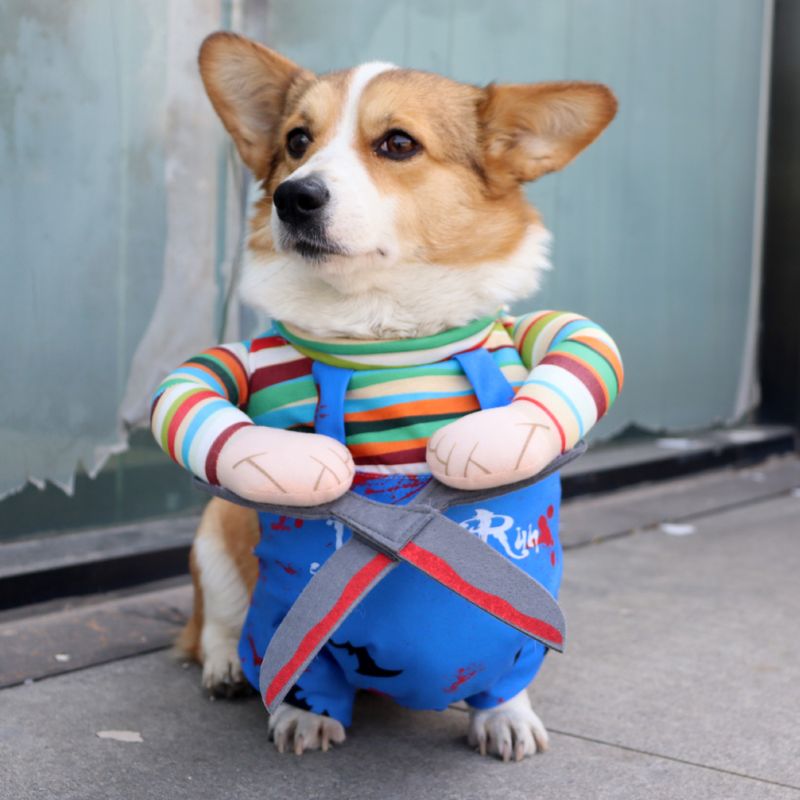 Boneca Mãos de Tesoura de Halloween para Cães de Pequeno e Médio Porte, Fantasia Engraçada de Transformação para Gatos, Roupas para Animais de Estimação_voghion.com