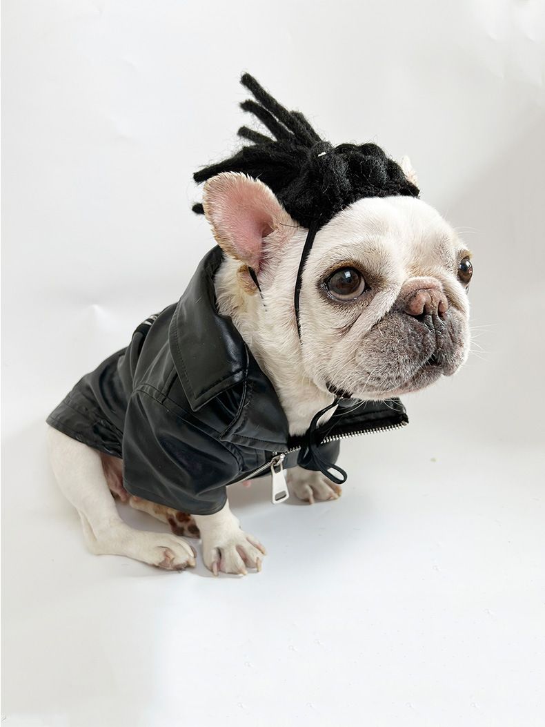 Huisdier pruik Honden pruik Huisdier benodigdheden Halloween Huisdier accessoires Krullend Stijl haar katten pruik_voghion.com