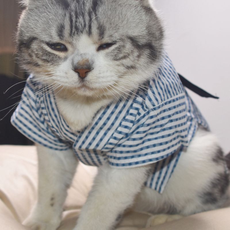 Pet Spring Thin Style Dog Cat Clothes Japanese Yukata Summer Festival Kimono_voghion.com