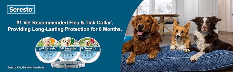 Seresto – Von Tierärzten empfohlenes Halsband zur Floh- und Zeckenbehandlung und -prävention für kleine Hunde unter 8 kg | 8 Monate Schutz_voghion.com