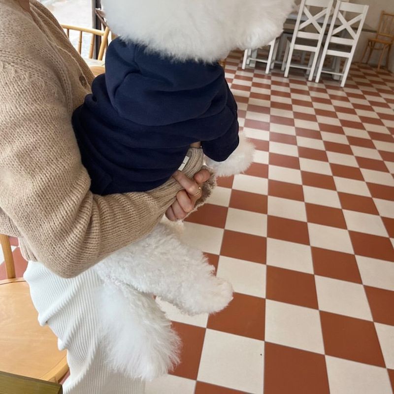 Autumn Winter Hooded Versatile Fleece Sweatshirt Teddy Pomeranian Bichon Schnauzer Pet Cat Small Dog Clothes_voghion.com