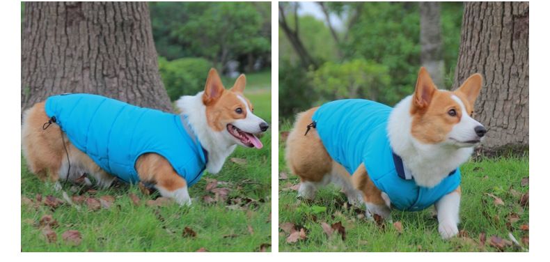 Hundebomuld vinter varmt kæledyrstøj reflekterende Schnauzer Golden Retriever hundejakke_voghion.com