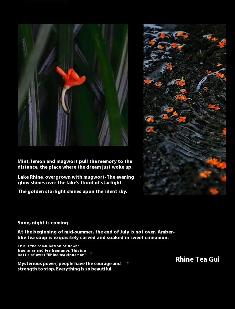 Nouveau Parfum Citron Vert Thé du Rhin Parfum Cannelle Encens Thé Noir Parfum Femme Parfum Longue Durée Parfum Étudiant Parfum Naturel_voghion.com