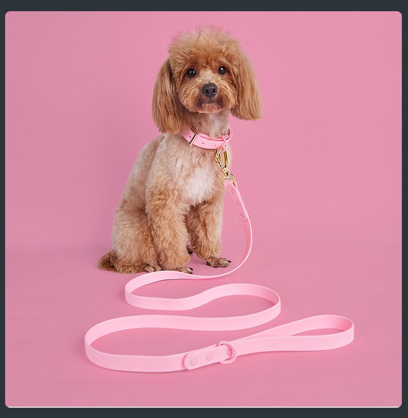 Vanntett PVC-kjæledyrsett for små, mellomstore og store hunder med båndhalsbånd_voghion.com