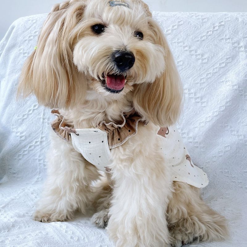 Vestiti primaverili ed estivi per cani, carini, principessa e gatti_voghion.com