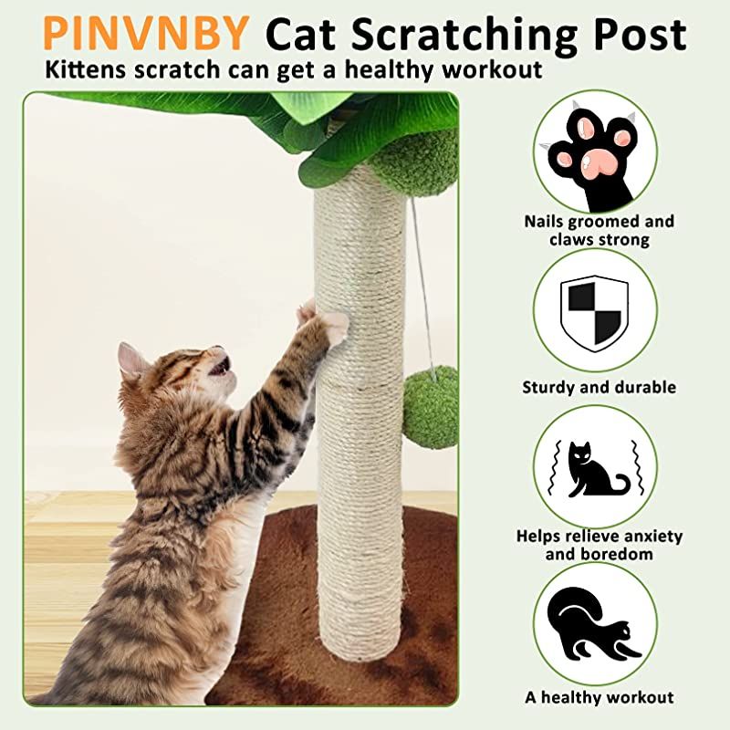Cat Scratching Post For Cats Tree Catcus Cat Scratcher Posts Toy Cute Kitten Kitty Sisal Rope Scratch With Teaser Ball_voghion.com