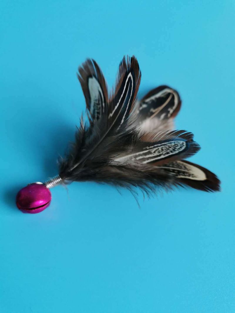Teaser Wand Pet Cat Toy Bell Feather Replacement Head Best Seller_voghion.com