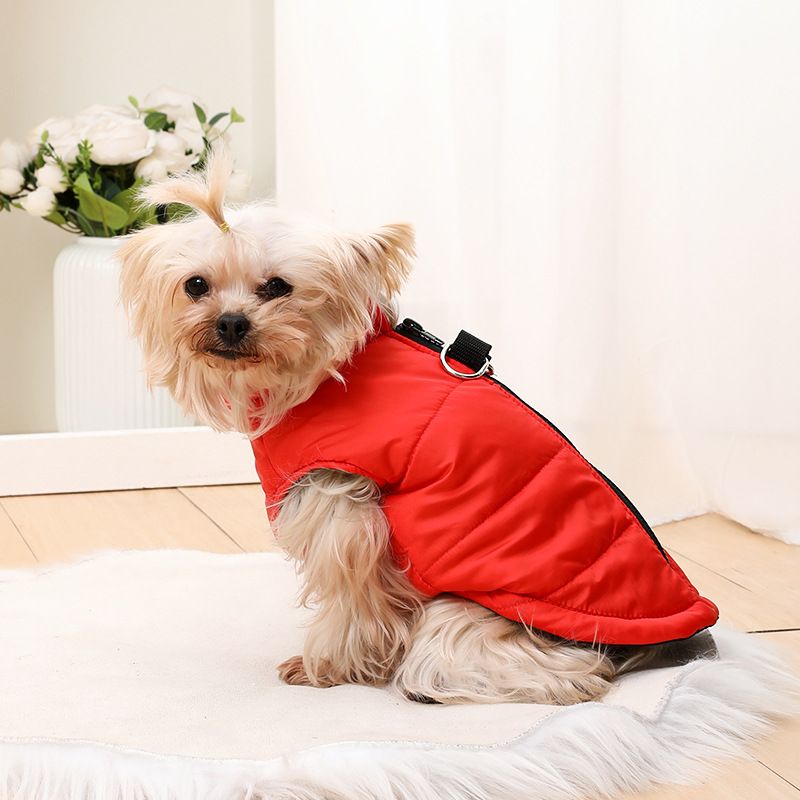 Evcil Hayvan Giyim Sonbahar Kış Kalınlaştırılmış Köpek Giysileri Sıcak Pamuklu Ceket Düz Renk Yelek Su Geçirmez Rüzgar Geçirmez Mont Fabrikası_voghion.com