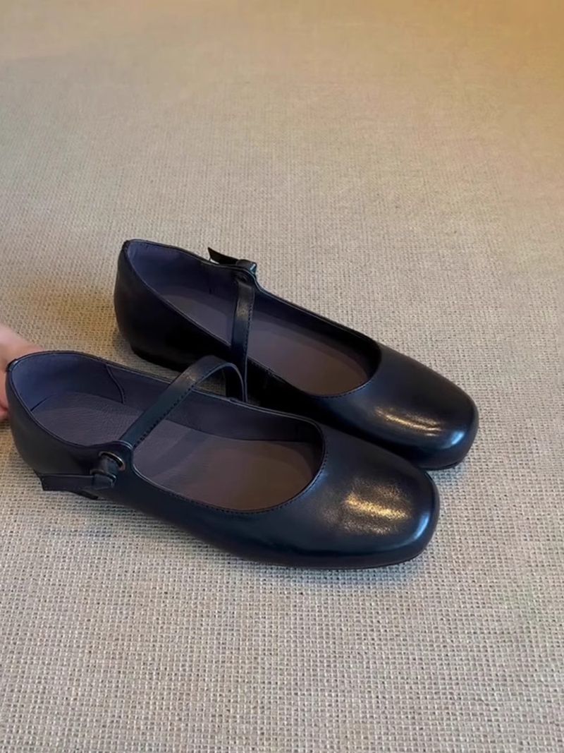Lancui~ Brown Simple Flat Mary Jane Shoes For Women French Style One Strap Shallow Mouth Versatile Ballet Flats_voghion.com