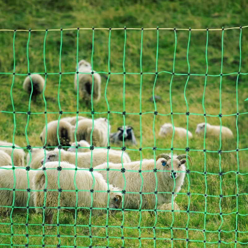 With L Sheep Net Posts Netting PE Goats Mesh X Electric For H Fence Utility DoubleSpiked Stakes 42 164' And L Portable Fencing_voghion.com