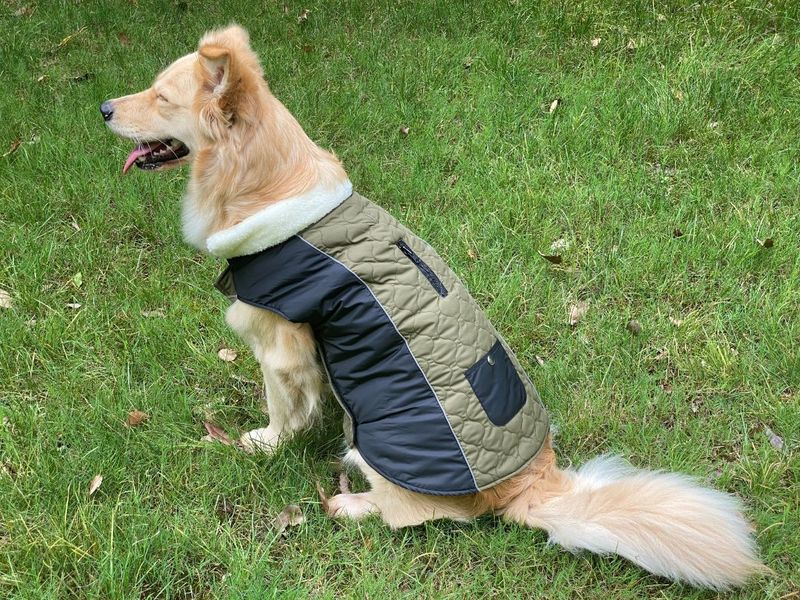 Pocket new pet clothes autumn and winter dog clothes vest cotton coat double sided wearable dog clothes coat clothing_voghion.com