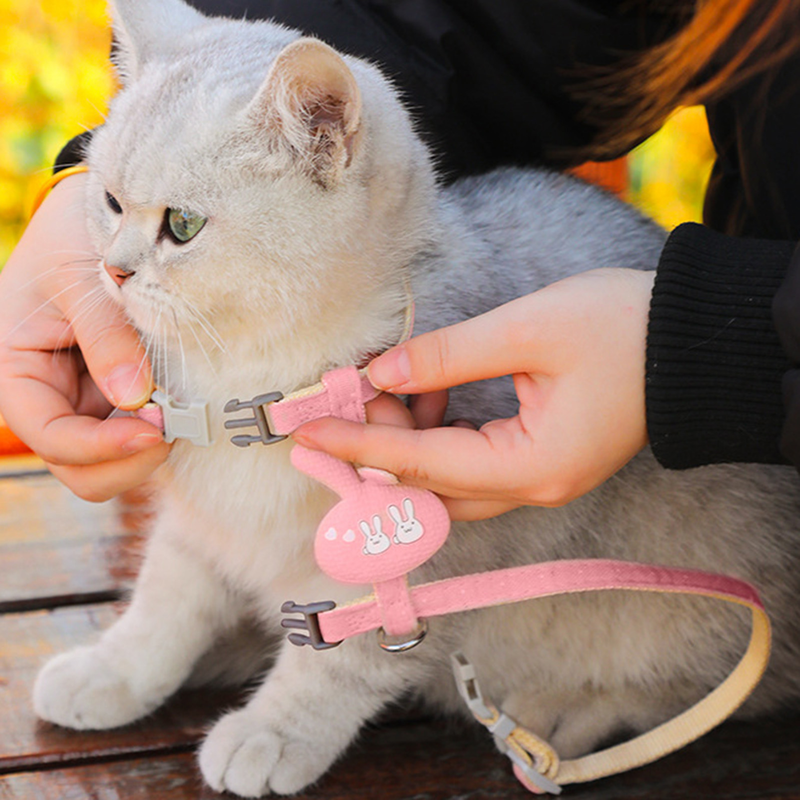 Guangying Vest Traction Rope Adjustable Soft Cute Cartoon Bear Cat Vest Harness For Outdoor_voghion.com
