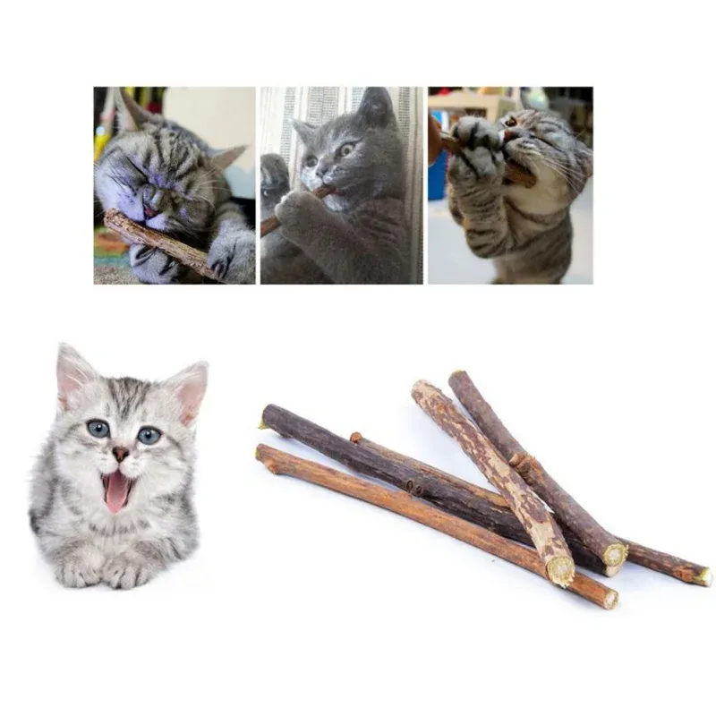 Holzstäbchen für Katzenminze von PawParty Store_voghion.com