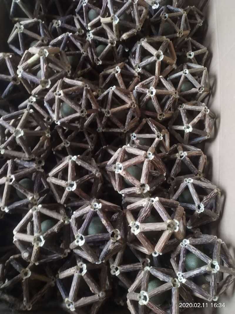 Origin Muttian Polygonum Linglong Ball Catnip Toy Cat Snack_voghion.com