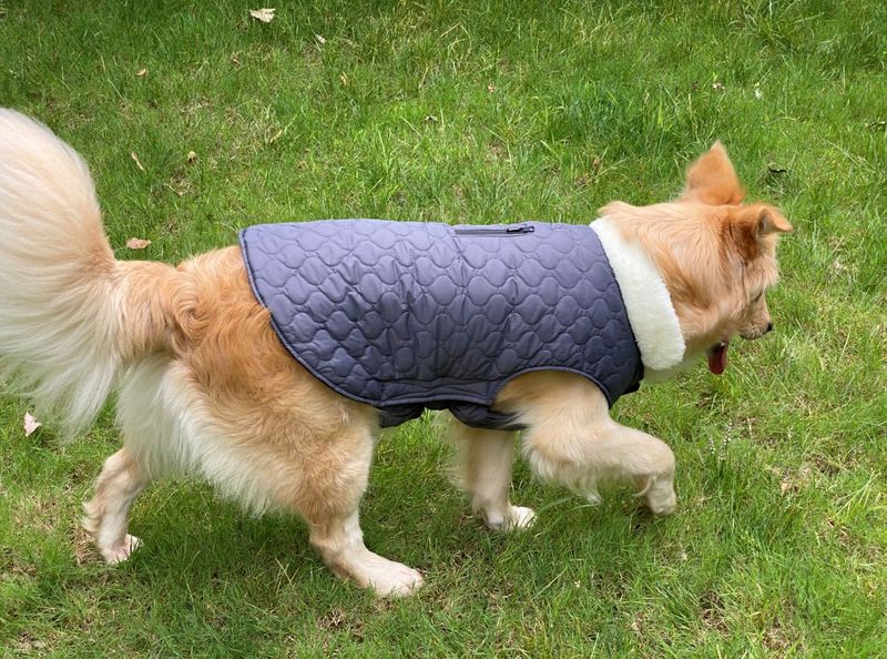 Pocket new pet clothes autumn and winter dog clothes vest cotton coat double sided wearable dog clothes coat clothing_voghion.com