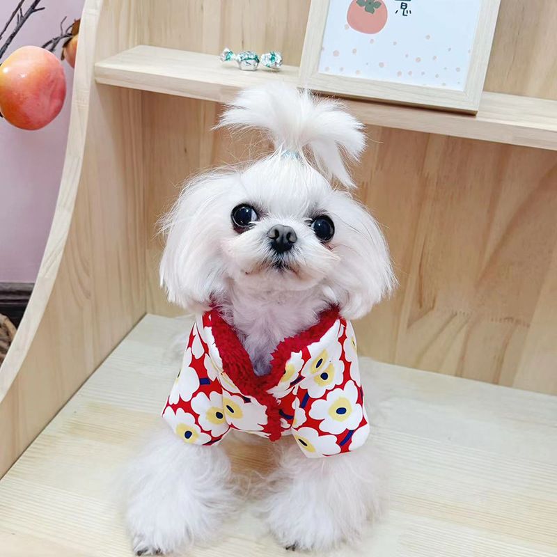 Dog Cat New Year Warm Cotton Clothes Festive Pet Clothing Reversible_voghion.com