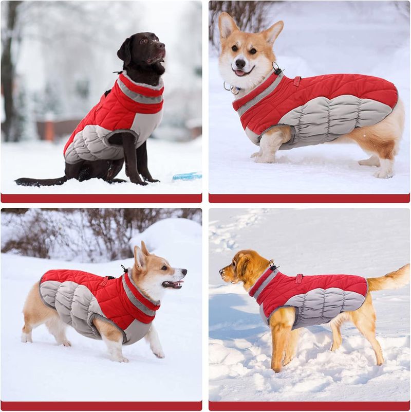 Giacca invernale in cotone spesso e antivento per cani, con fodera in pile caldo e imbottito_voghion.com