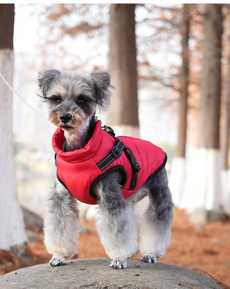 huisdier kleding hond jas katoenen kleding kleine hond tweebenige tractie vest borst rug winter warme kleding_voghion.com