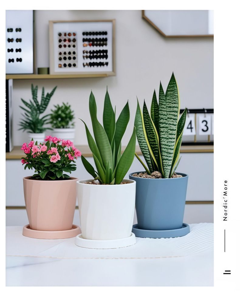 Pianta grassa verde in vaso piccolo, minimalista, addensata, in resina creativa, doppia, in vaso piccolo._voghion.com