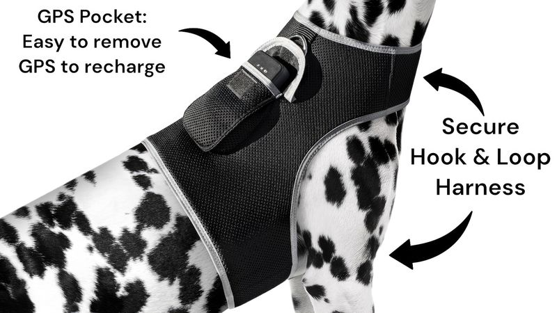 Rechargeable Collar Mounted Wireless GSM GPS Tracking Device for Pets Size:XXL_voghion.com