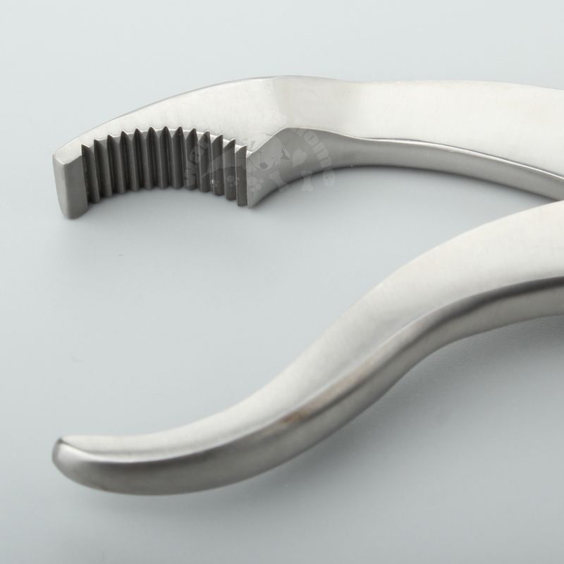 Veterinary Bone Forceps Verbre Stainless Steel By PawParty Store_voghion.com