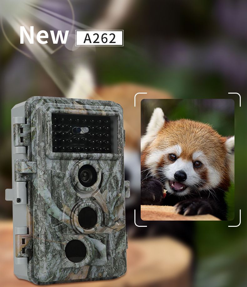 Telecamera impermeabile IP66 con visione notturna a infrarossi per monitoraggio animali da esterno con sensore da 64 MP_voghion.com